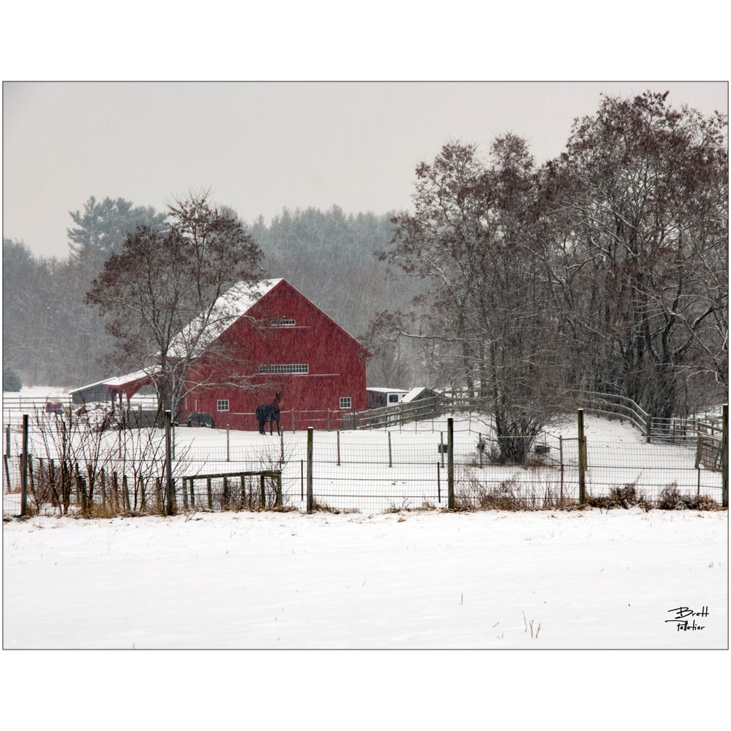 Little Red Barn - Lee, New Hampshire - bp0059 - Photograph Print Poster Picture Photography Art Artist Images Camera Collectibles Landscape