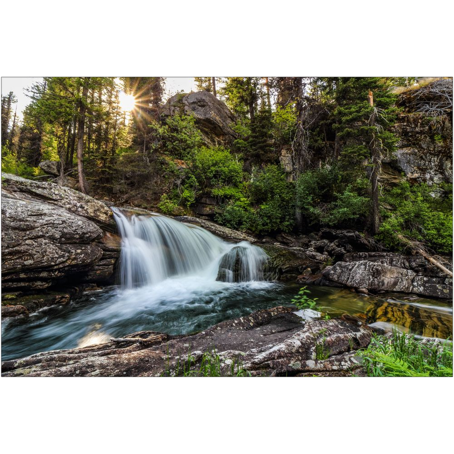 Tin Cup Creek Falls #1 - Bitterroot Mountains, Montana - bp0042 - Photograph Print Poster Picture Photography Art Artist Images Landscape