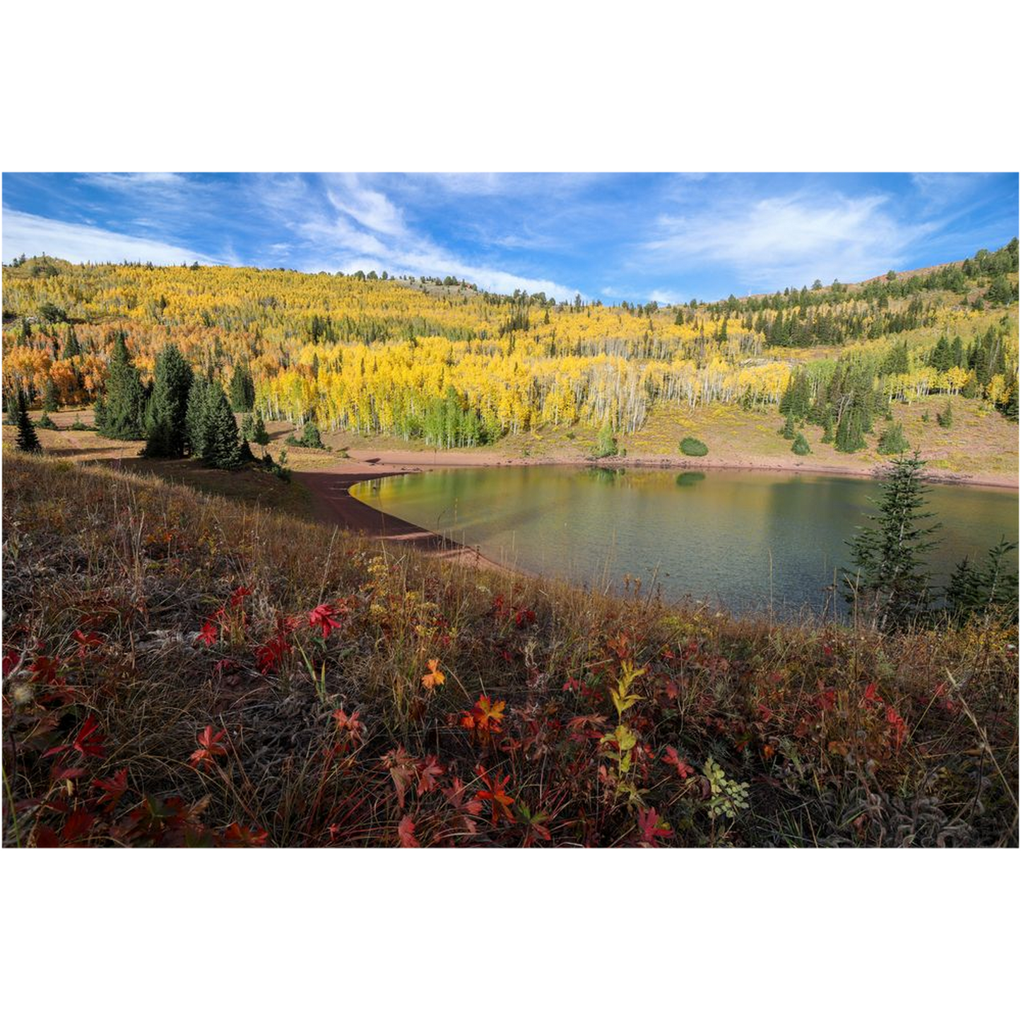 Desolation Lake Autumn - Wasatch Mountains, Utah - bp0221 - Photograph Print Poster Picture Photography Art Artist Images Landscape