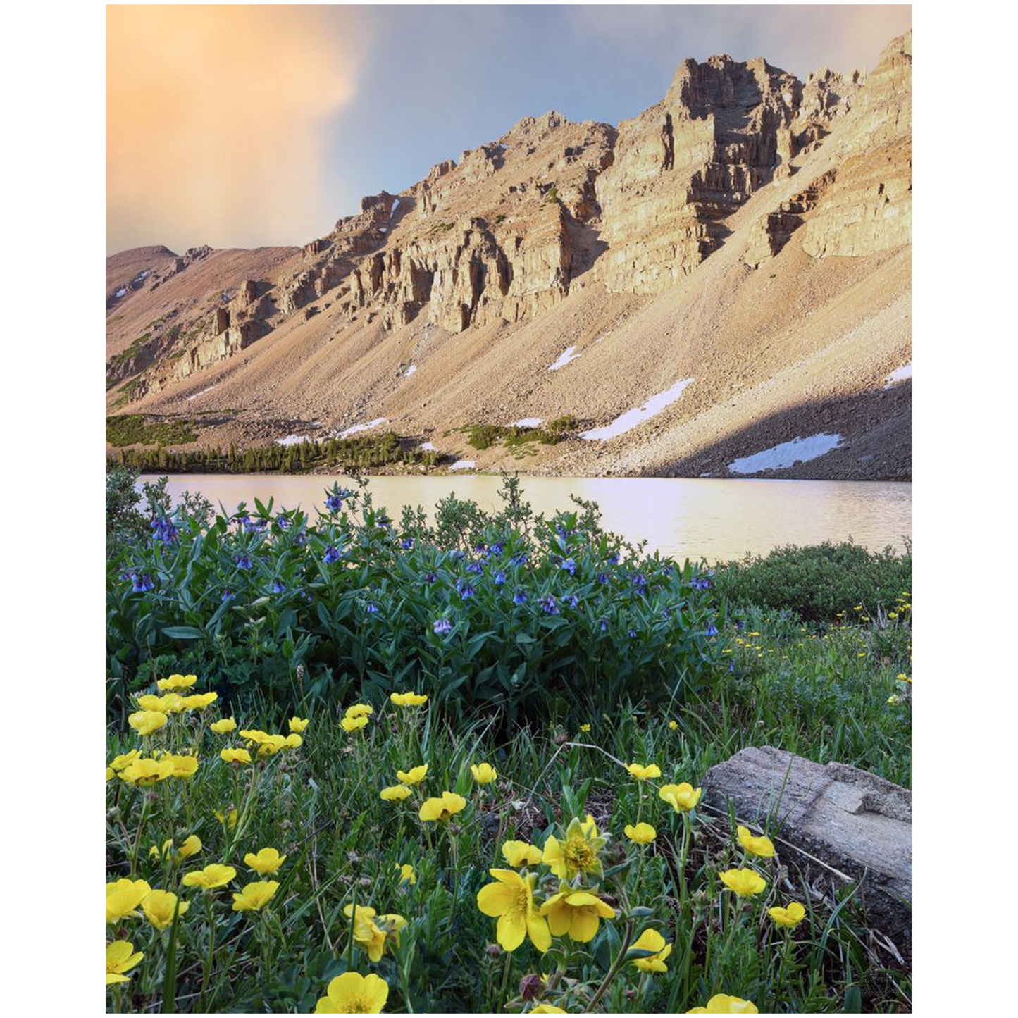 Amethyst Lake Sunset and Wildflowers, Uinta Mountains - Utah - bp0012 - Photograph Print Poster Picture Photography Art Artist Landscape