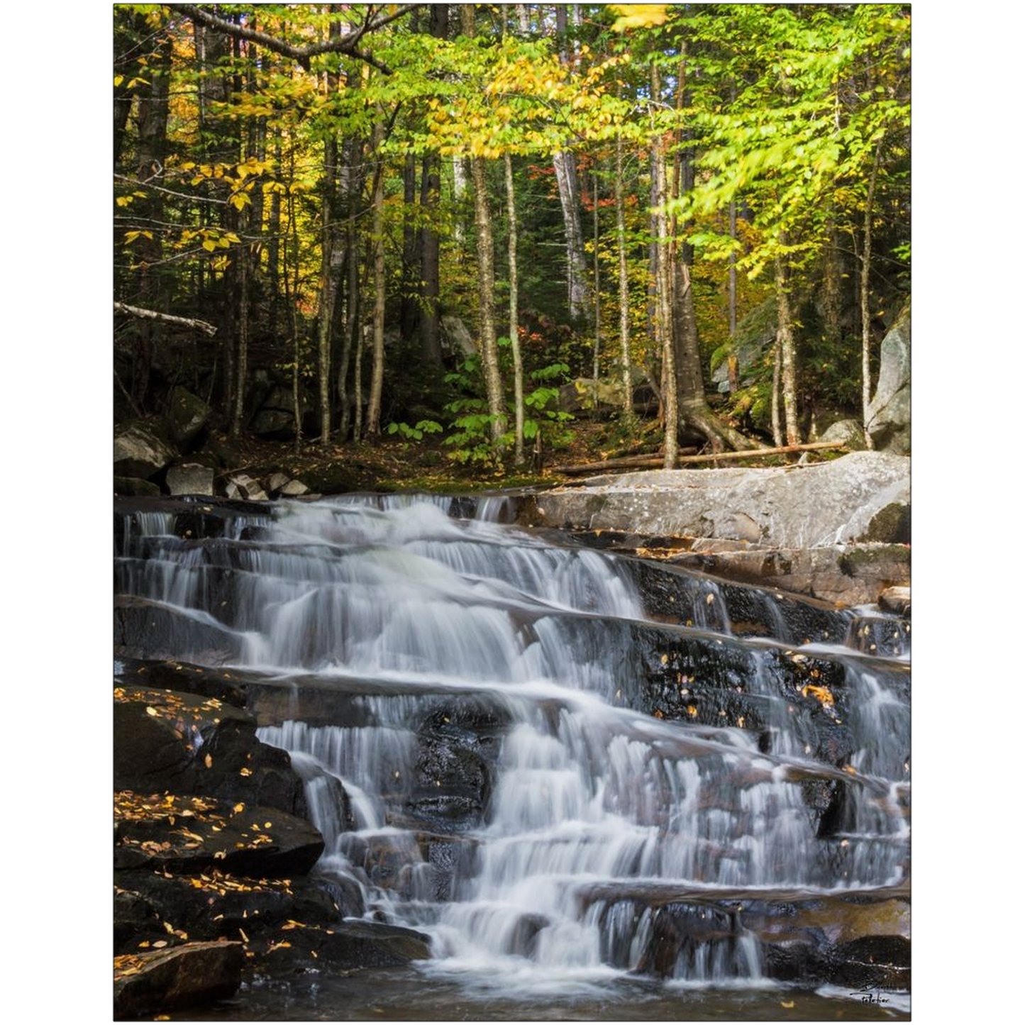 Discovery Falls v2 - Millsfield, New Hampshire - bp0047 - Photograph Print Poster Picture Photography Art Artist Images Landscape