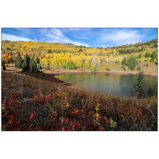 Desolation Lake Autumn - Wasatch Mountains, Utah - bp0221 - Photograph Print Poster Picture Photography Art Artist Images Landscape