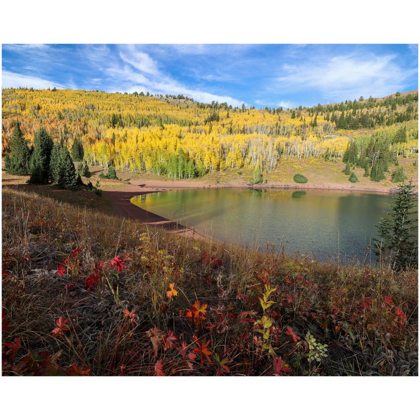 Desolation Lake Autumn - Wasatch Mountains, Utah - bp0221 - Photograph Print Poster Picture Photography Art Artist Images Landscape