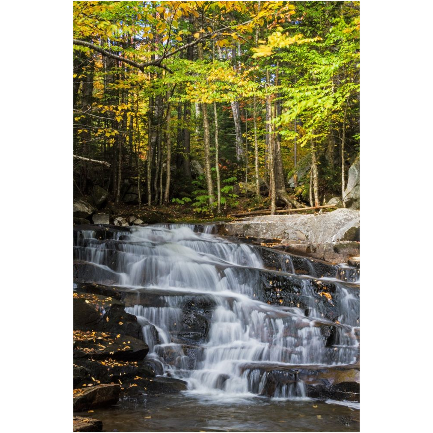 Discovery Falls v2 - Millsfield, New Hampshire - bp0047 - Photograph Print Poster Picture Photography Art Artist Images Landscape