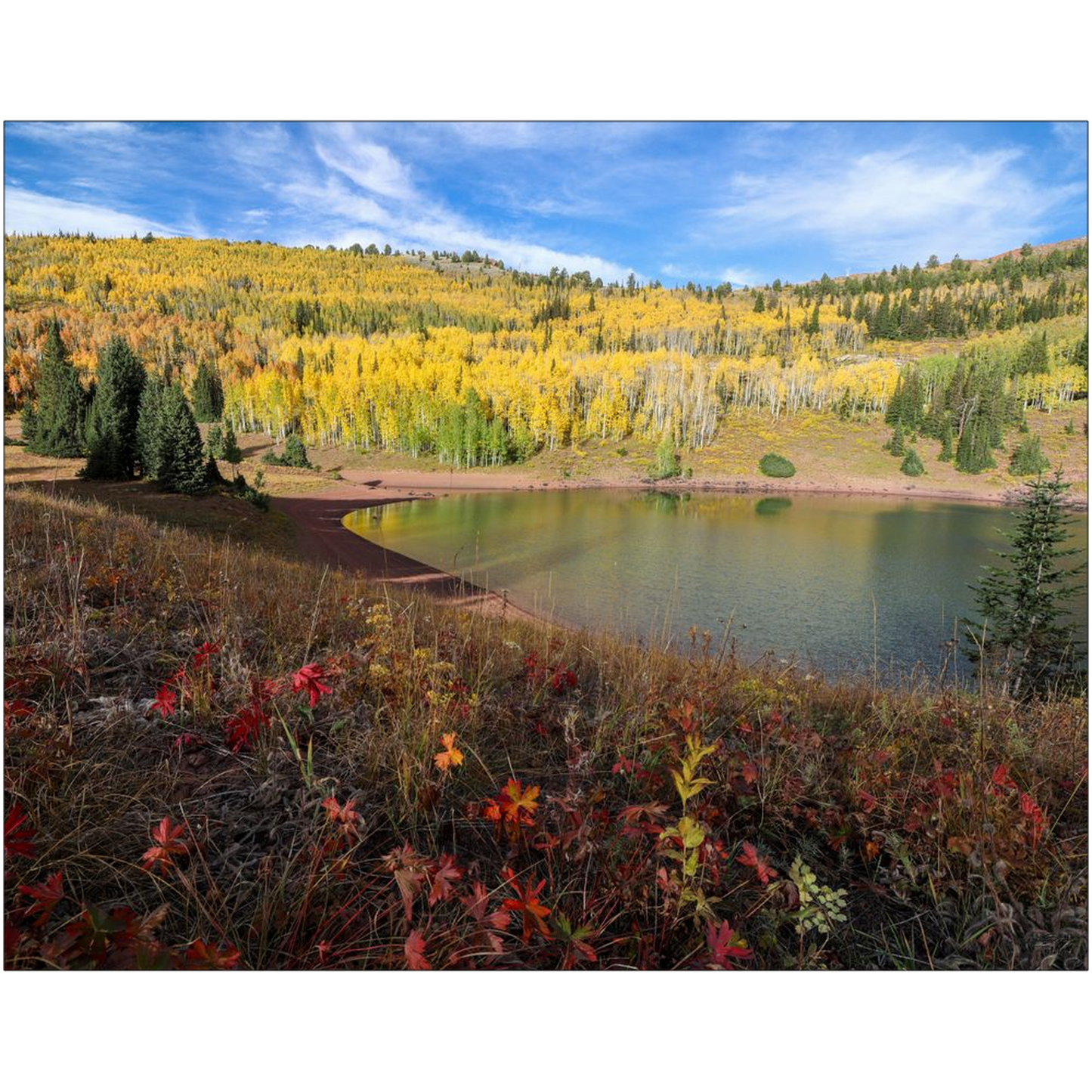 Desolation Lake Autumn - Wasatch Mountains, Utah - bp0221 - Photograph Print Poster Picture Photography Art Artist Images Landscape