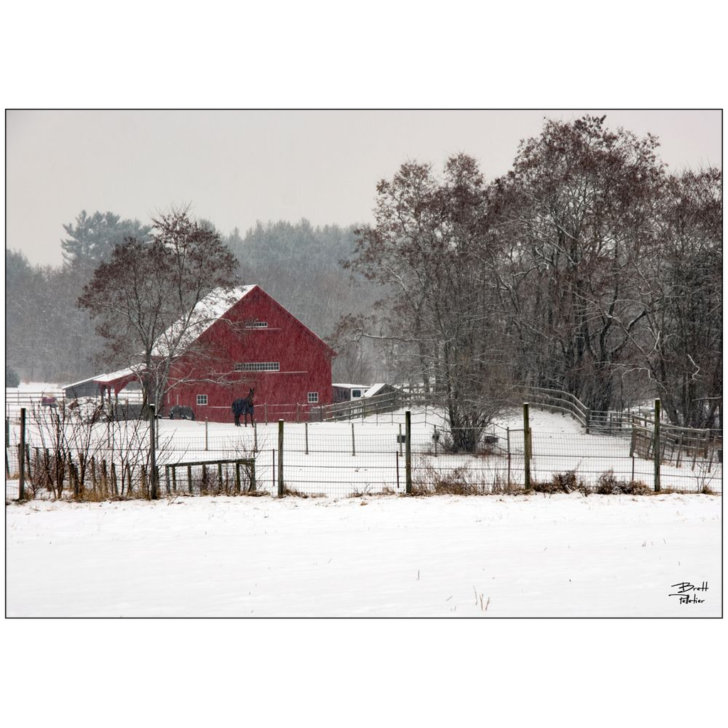 Little Red Barn - Lee, New Hampshire - bp0059 - Photograph Print Poster Picture Photography Art Artist Images Camera Collectibles Landscape