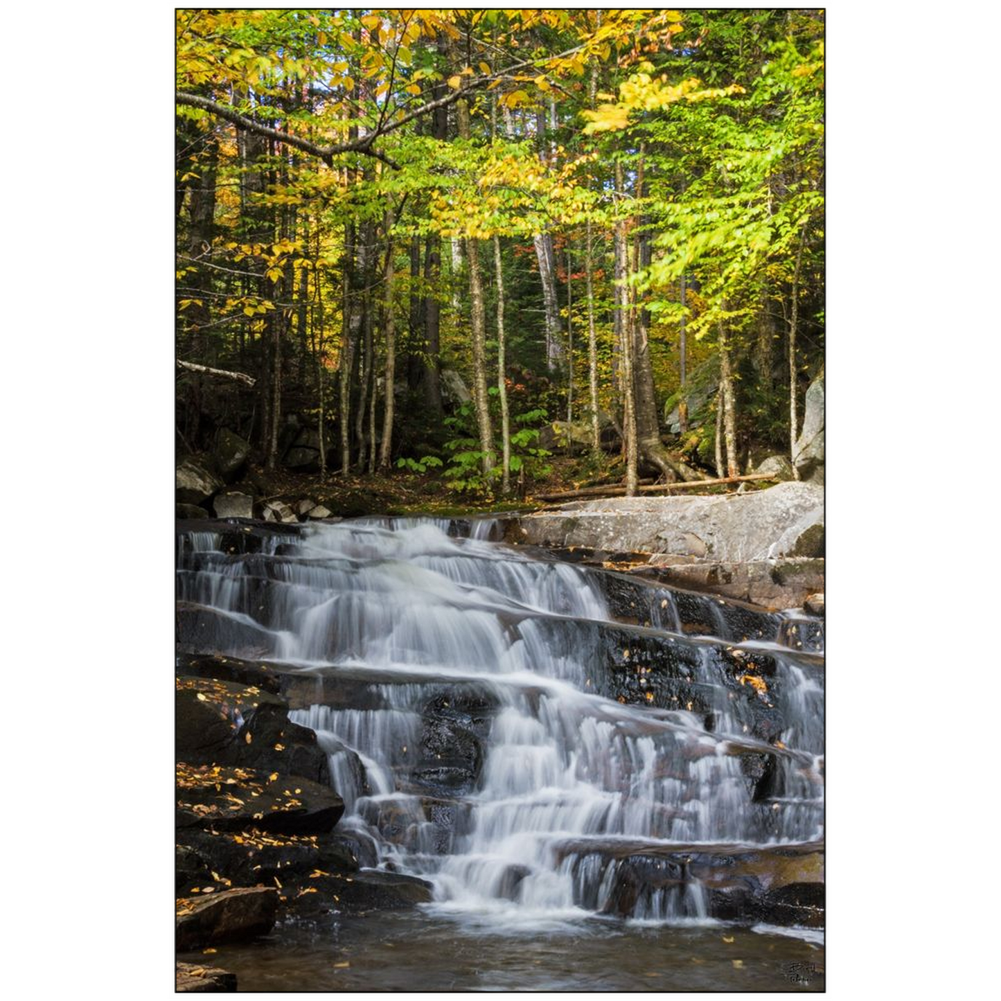 Discovery Falls v2 - Millsfield, New Hampshire - bp0047 - Photograph Print Poster Picture Photography Art Artist Images Landscape