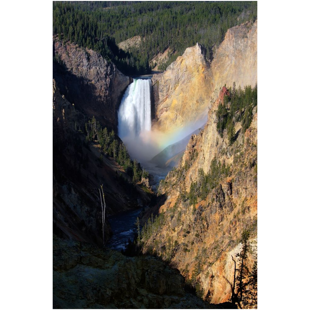 Lower Yellowstone Falls - Yellowstone National Park, Wyoming - bp0044 - Photograph Print Poster Picture Photography Art Images Landscape