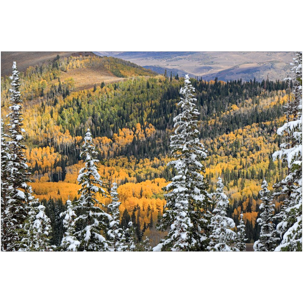 Park City Fall Color Early Snow - Wasatch Mountains, Utah - bp0191 - Photograph Print Poster Picture Wall Photography Art Artist Landscape