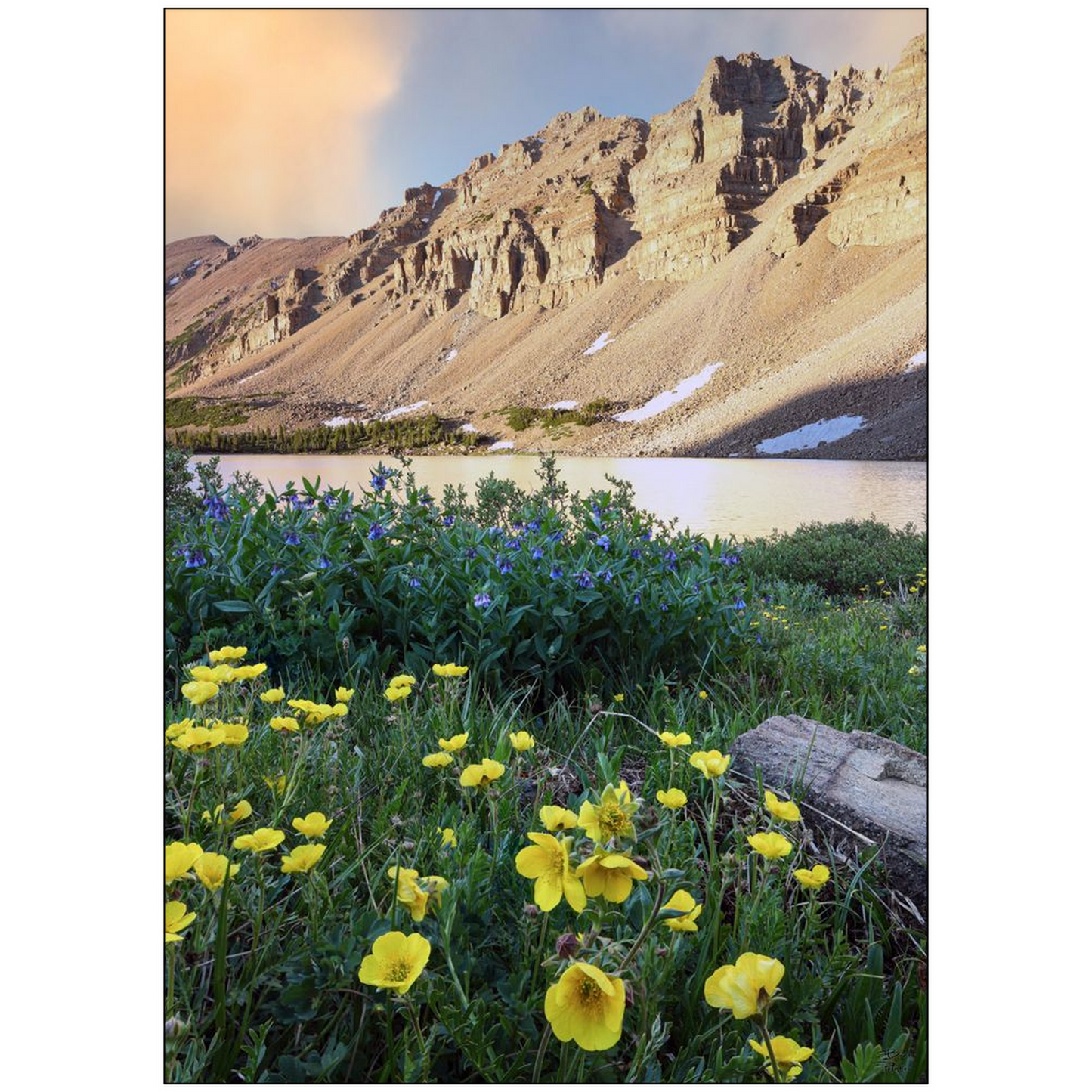 Amethyst Lake Sunset and Wildflowers, Uinta Mountains - Utah - bp0012 - Photograph Print Poster Picture Photography Art Artist Landscape