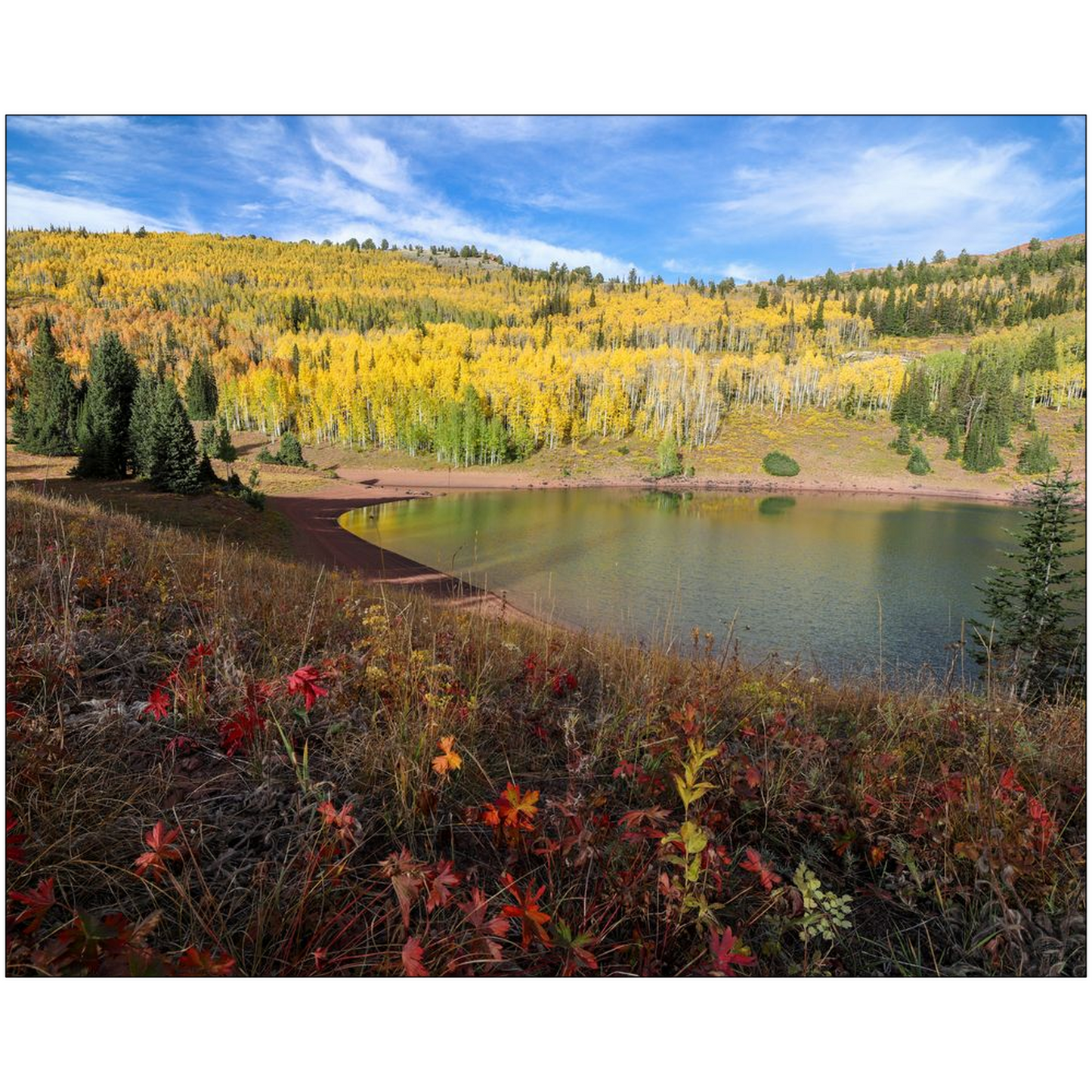 Desolation Lake Autumn - Wasatch Mountains, Utah - bp0221 - Photograph Print Poster Picture Photography Art Artist Images Landscape