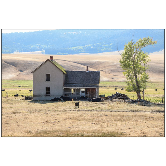 Home On The Range - Highway 141, Montana - bp0219 - Photograph Print Poster Picture Photography Images Landscape Art Artist