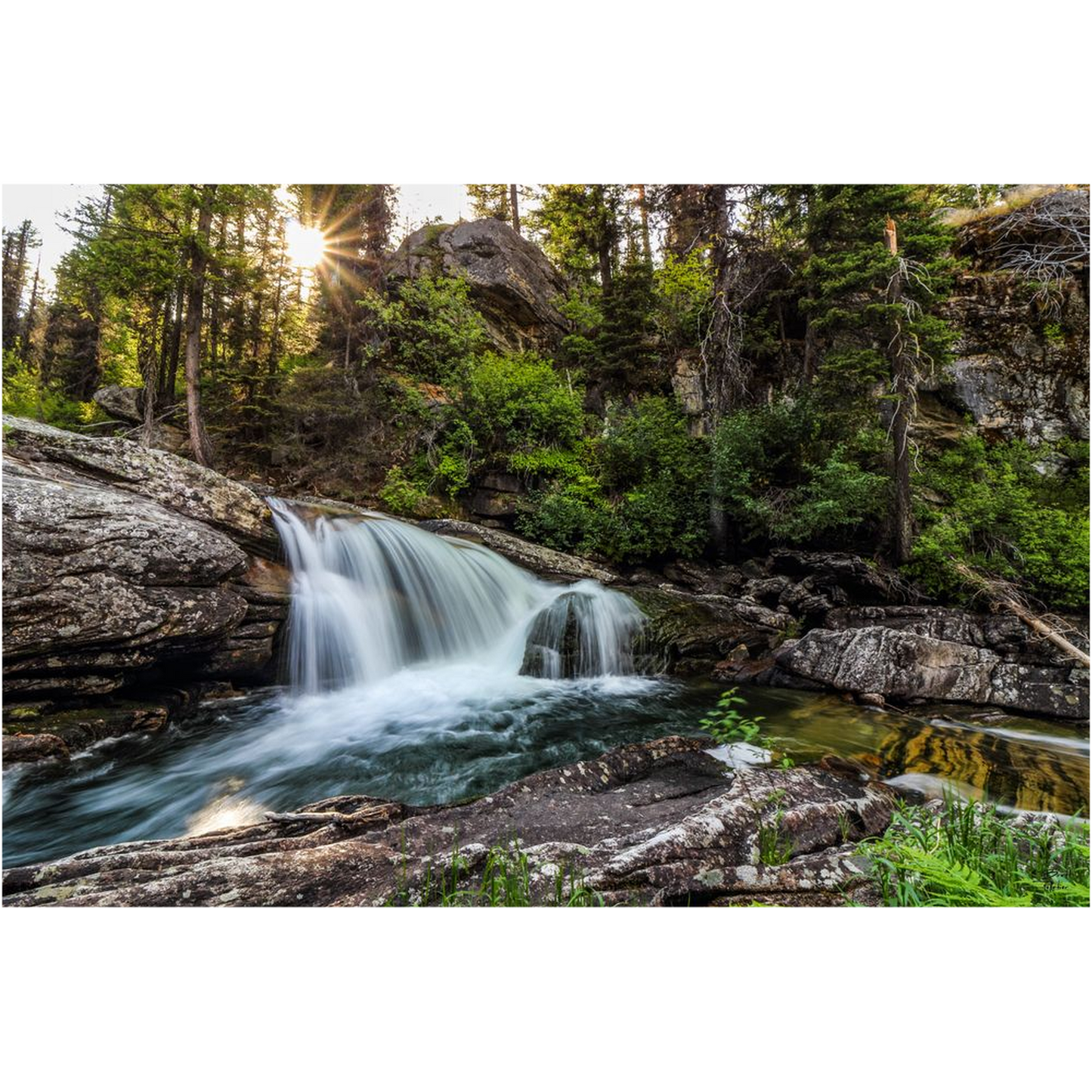 Tin Cup Creek Falls #1 - Bitterroot Mountains, Montana - bp0042 - Photograph Print Poster Picture Photography Art Artist Images Landscape