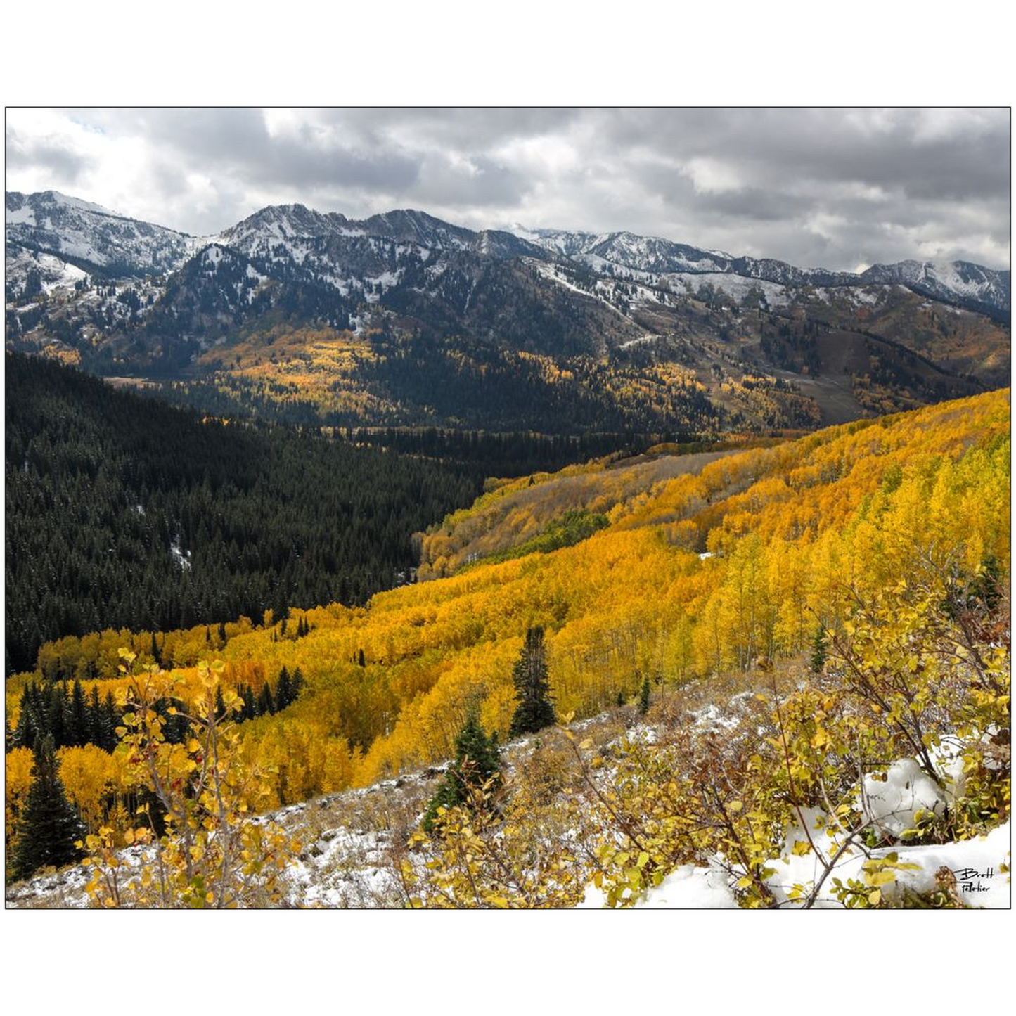 Autumn Colors and Snow in Mill F - Big Cottonwood Canyon, Utah - bp0187 - Photograph Print Poster Picture Photography Landscape Artist Art