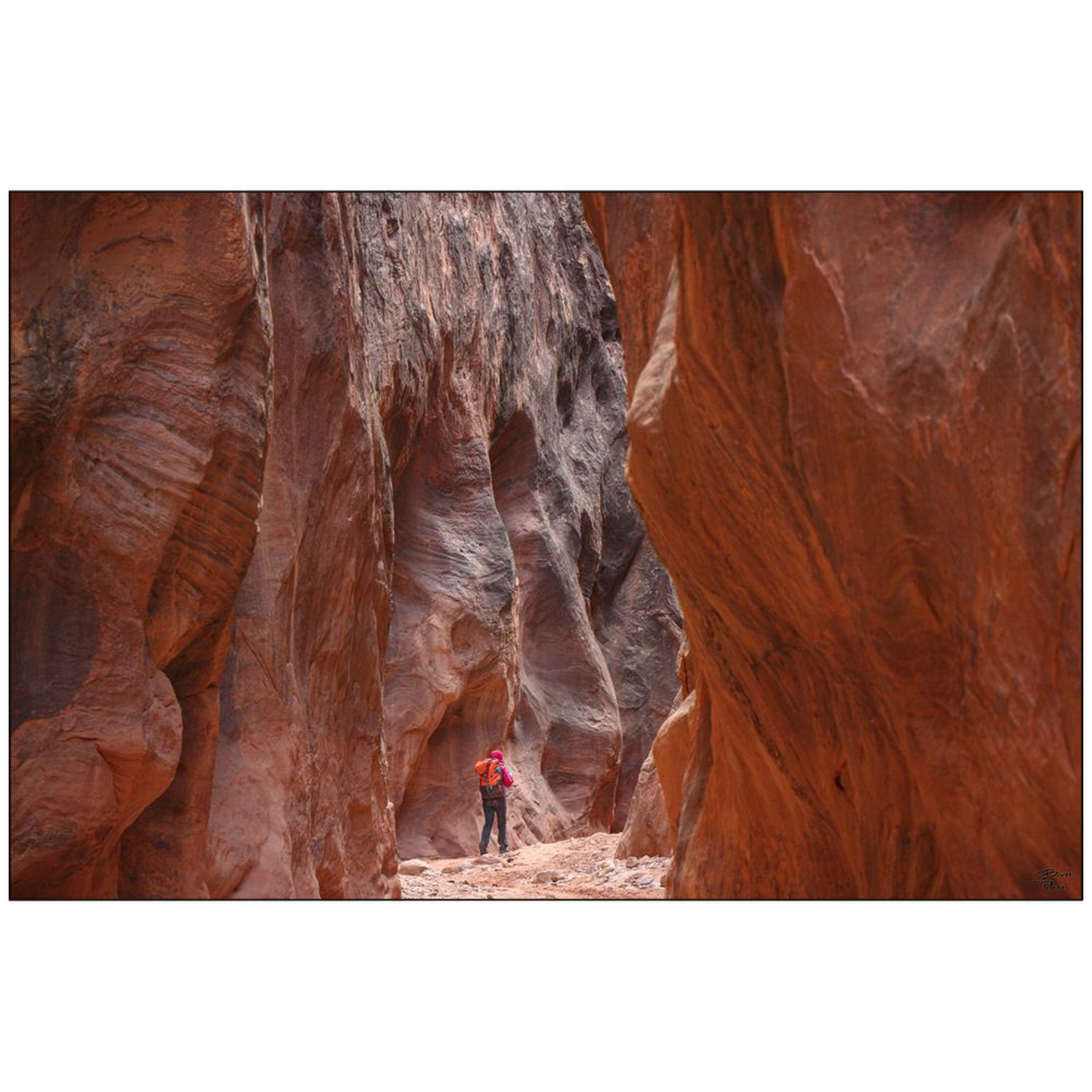 Buckskin Gulch Hiker v2 - Vermilion Cliffs National Monument, Utah - bp0174 - Photograph Print Poster Picture Photography Landscape Artist