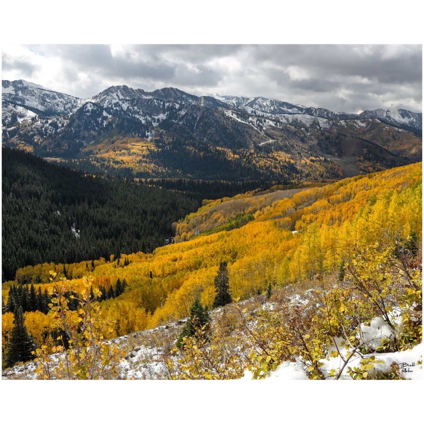 Autumn Colors and Snow in Mill F - Big Cottonwood Canyon, Utah - bp0187 - Photograph Print Poster Picture Photography Landscape Artist Art