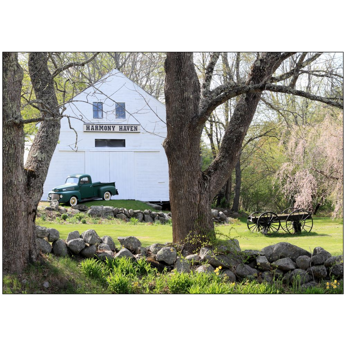 Harmony Haven with 1948 Ford F1 - Nottingham, New Hampshire - bp0043 - Photograph Print Poster Picture Photography Art Artist Landscape