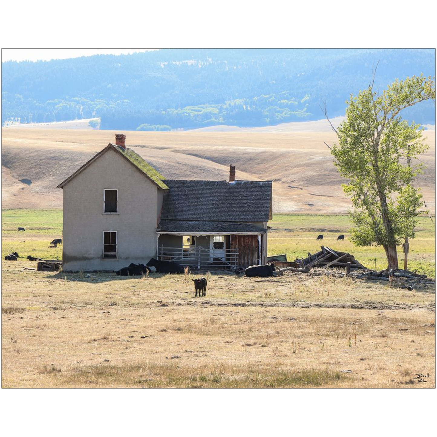 Home On The Range - Highway 141, Montana - bp0219 - Photograph Print Poster Picture Photography Images Landscape Art Artist