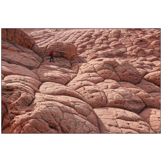 Sandstone Hiker v2 - Vermilion Cliffs National Monument, Utah - bp0170 - Print Poster Picture Photography Landscape Artist Art Images