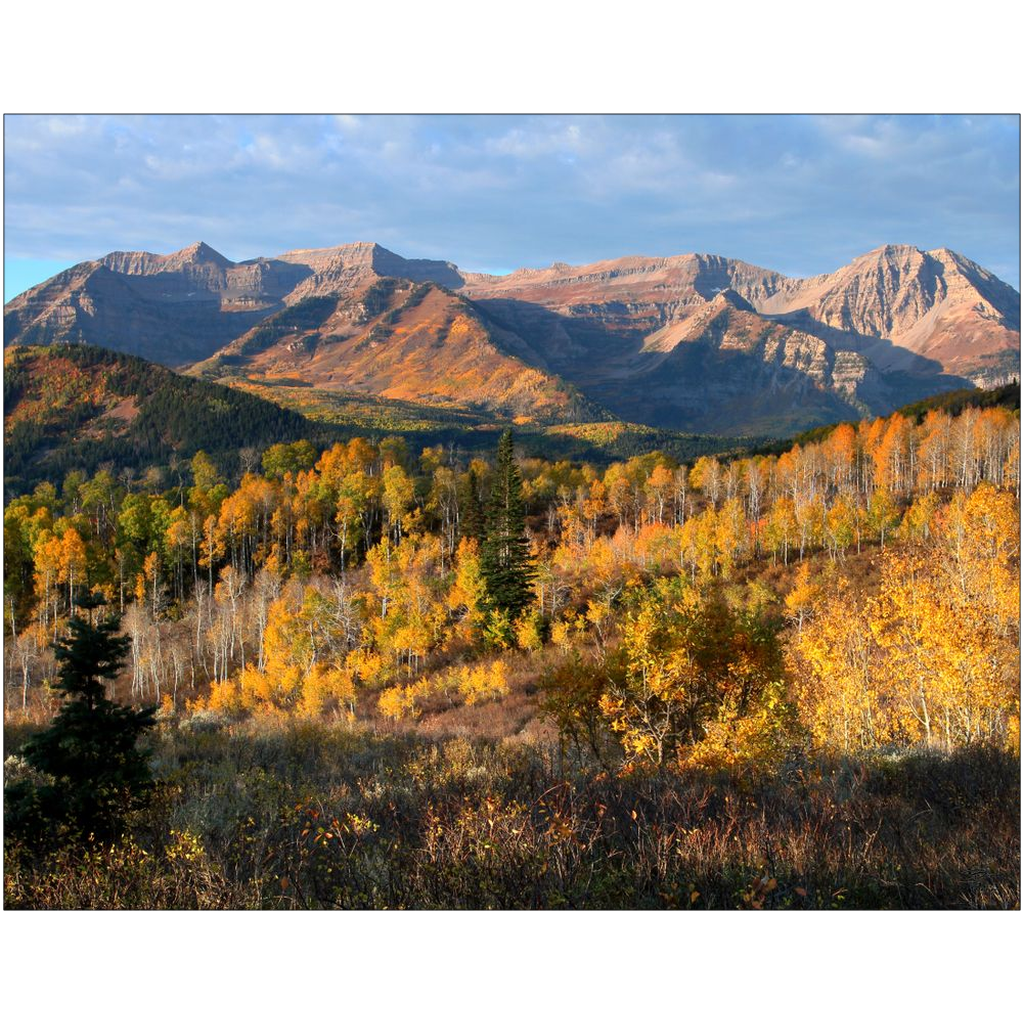 Timpanogos Autumn Sunrise - Wasatch Mountains, Utah - bp0004 - Photograph Print Poster Picture Photography Art Artist Images Landscape