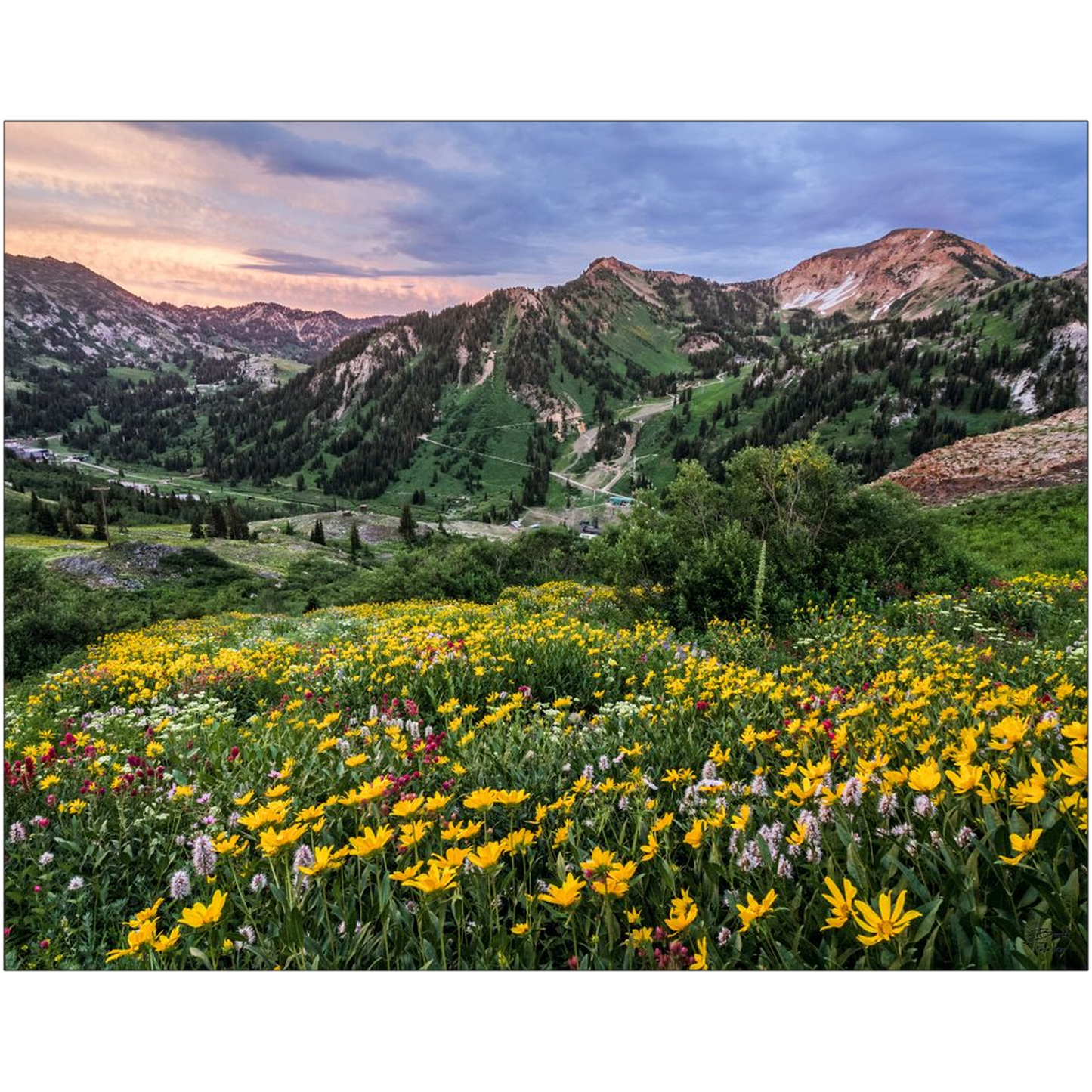 Storms Sunsets and Wildflowers - Alta, Utah - bp0005 - Photograph Print Poster Picture Landscape Photography Art Artist