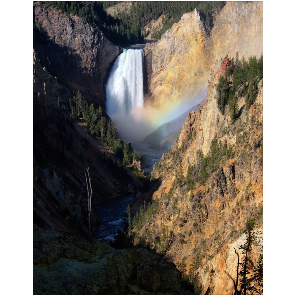 Lower Yellowstone Falls - Yellowstone National Park, Wyoming - bp0044 - Photograph Print Poster Picture Photography Art Images Landscape