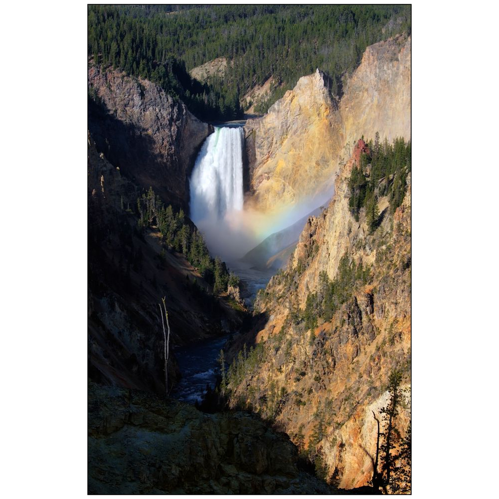 Lower Yellowstone Falls - Yellowstone National Park, Wyoming - bp0044 - Photograph Print Poster Picture Photography Art Images Landscape