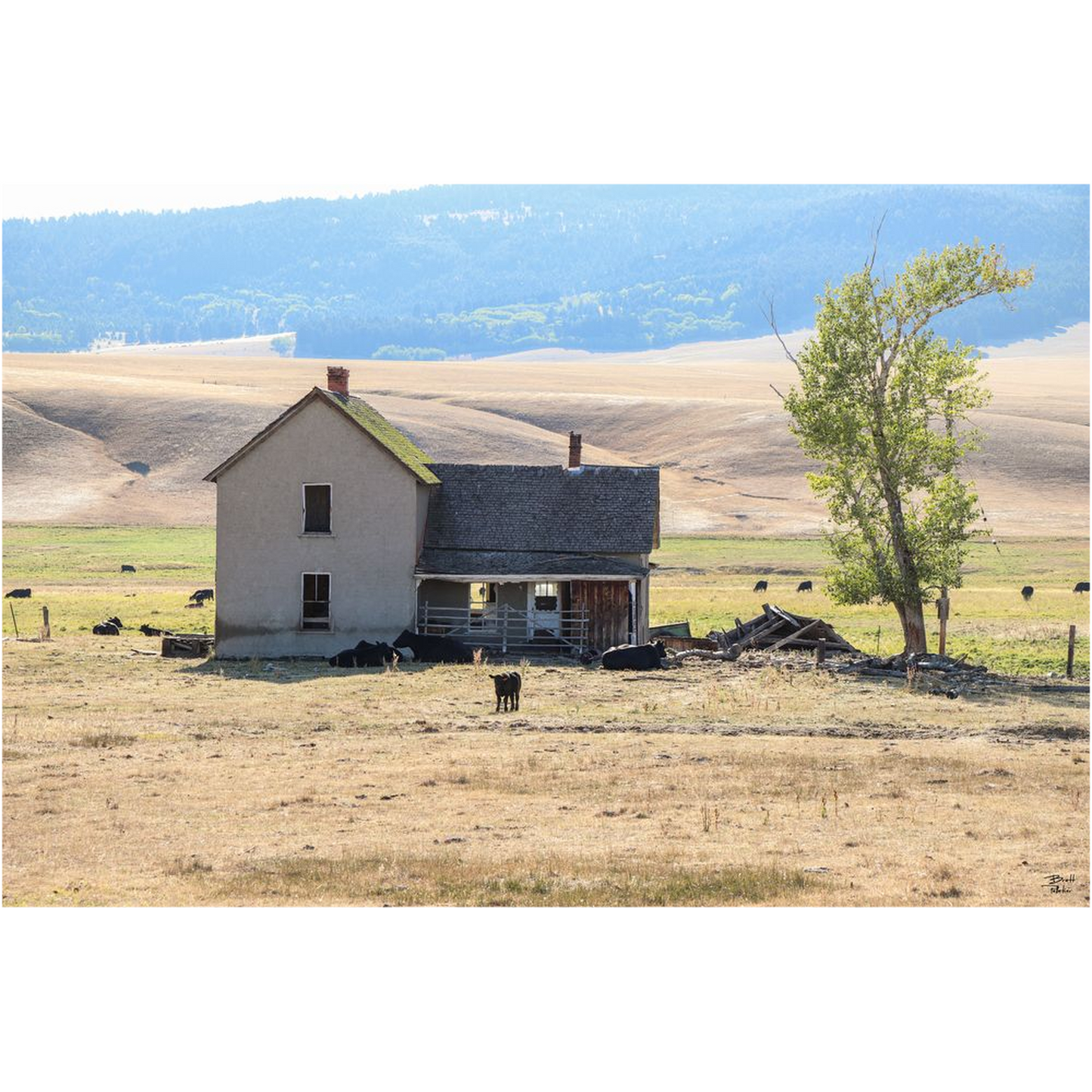 Home On The Range - Highway 141, Montana - bp0219 - Photograph Print Poster Picture Photography Images Landscape Art Artist