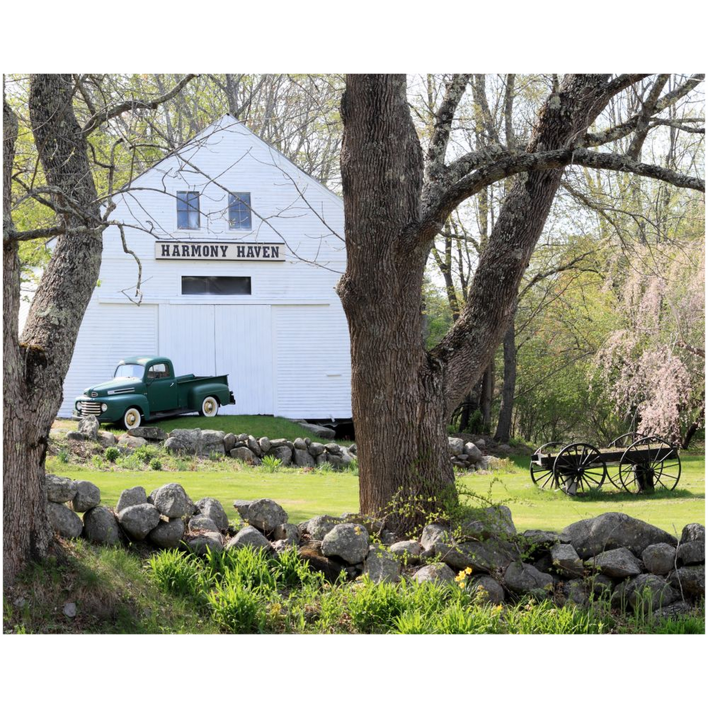 Harmony Haven with 1948 Ford F1 - Nottingham, New Hampshire - bp0043 - Photograph Print Poster Picture Photography Art Artist Landscape