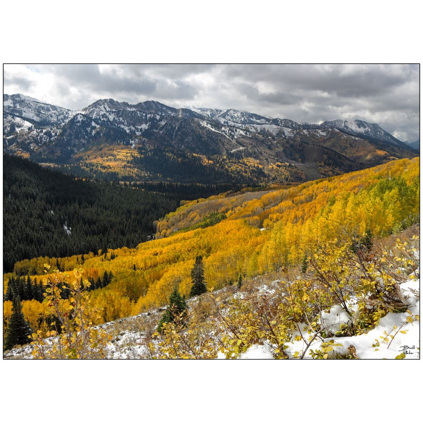 Autumn Colors and Snow in Mill F - Big Cottonwood Canyon, Utah - bp0187 - Photograph Print Poster Picture Photography Landscape Artist Art