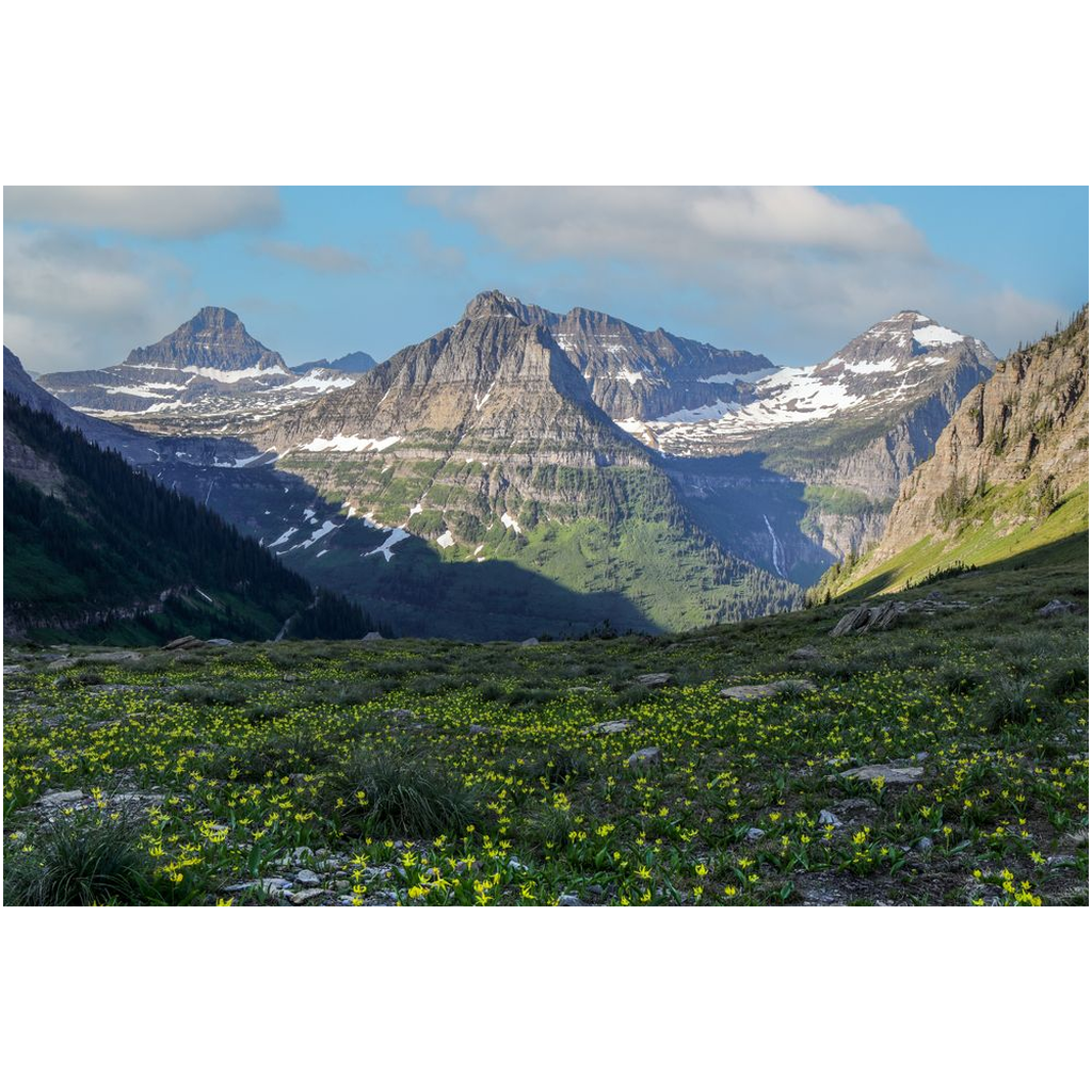 Glacier National Park Highline Trail View - Montana - bp0211 - Photograph Print Poster Picture Wall Photography Art Artist Images Landscape