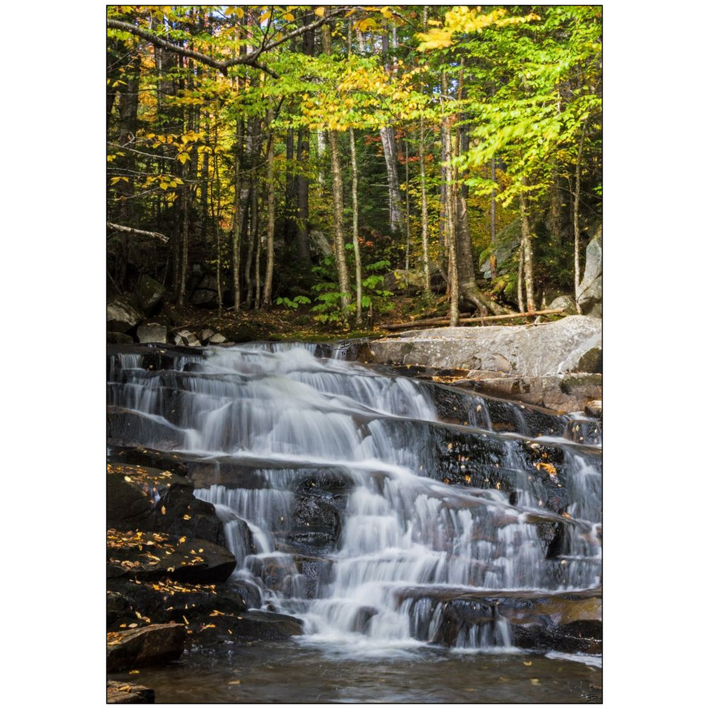 Discovery Falls v2 - Millsfield, New Hampshire - bp0047 - Photograph Print Poster Picture Photography Art Artist Images Landscape