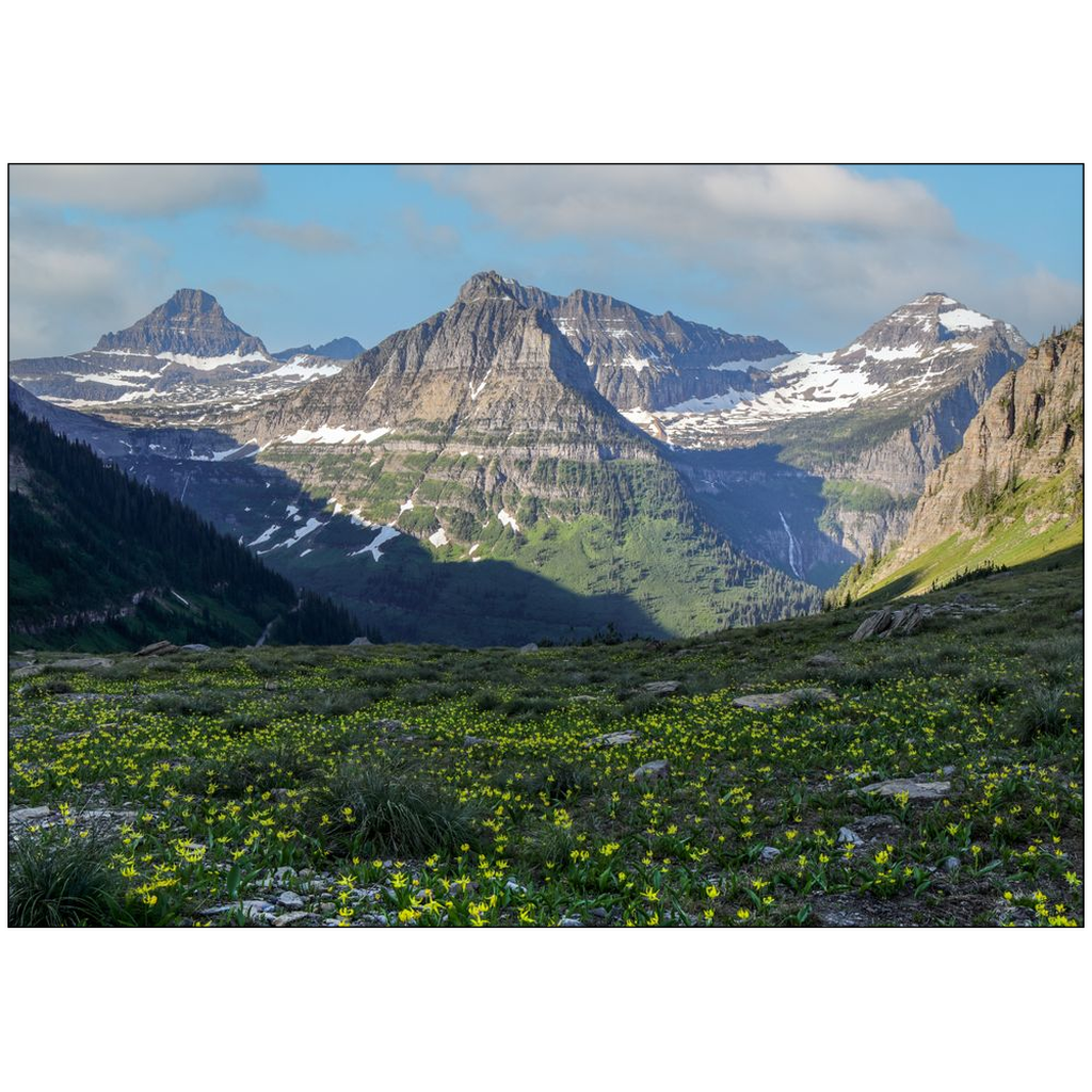 Glacier National Park Highline Trail View - Montana - bp0211 - Photograph Print Poster Picture Wall Photography Art Artist Images Landscape