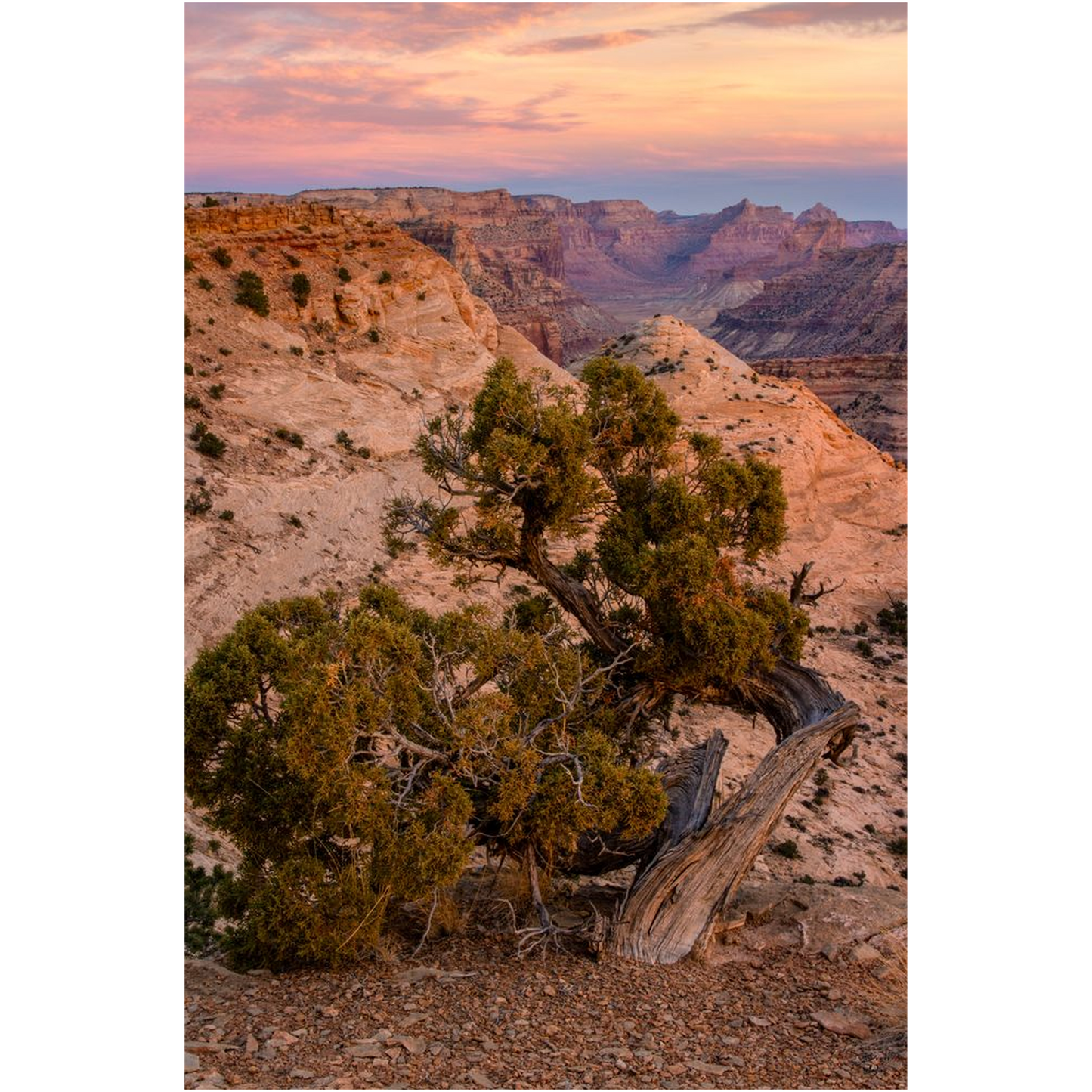 Little Grand Canyon Overlook Sunset - San Rafael, Utah - bp0204 - Photograph Print Poster Picture Photography Images Landscape Art Artist