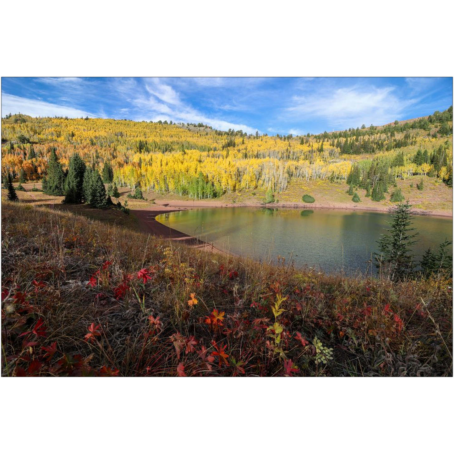 Desolation Lake Autumn - Wasatch Mountains, Utah - bp0221 - Photograph Print Poster Picture Photography Art Artist Images Landscape