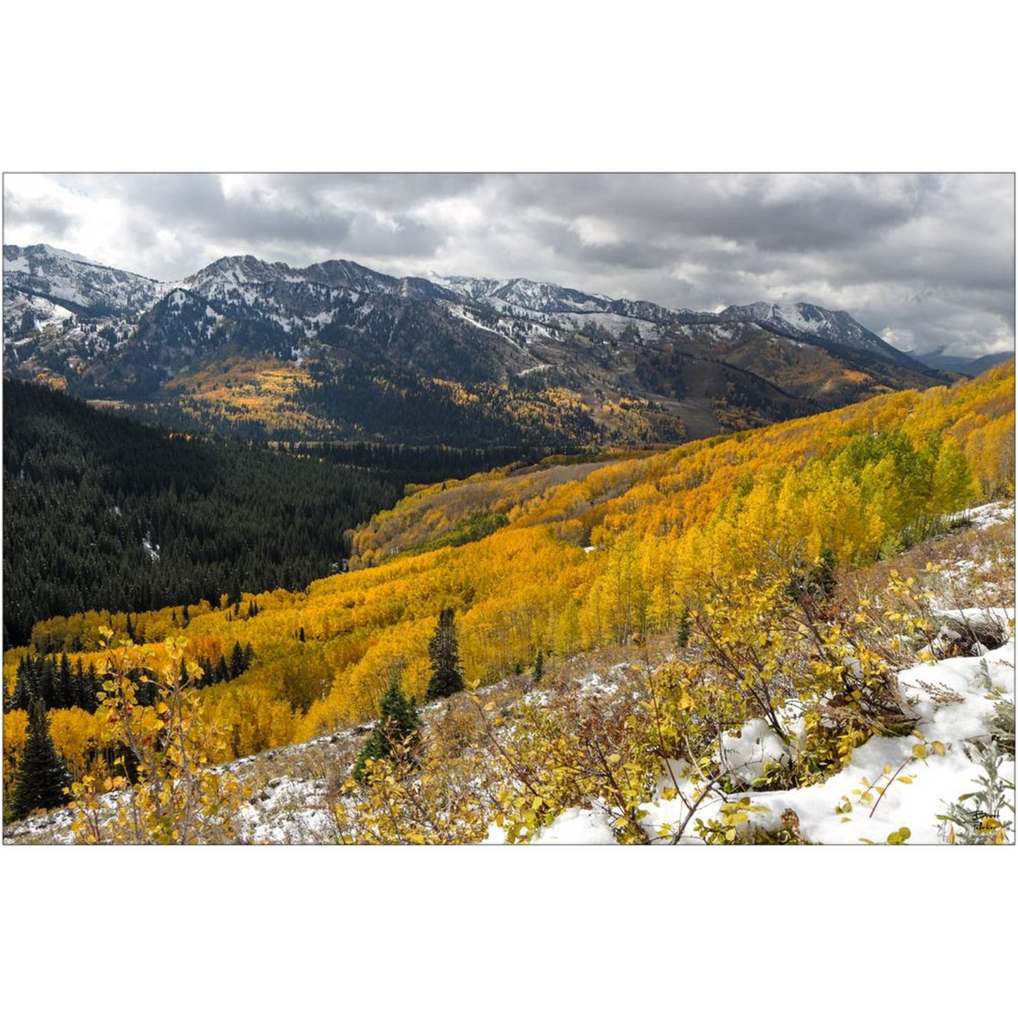 Autumn Colors and Snow in Mill F - Big Cottonwood Canyon, Utah - bp0187 - Photograph Print Poster Picture Photography Landscape Artist Art