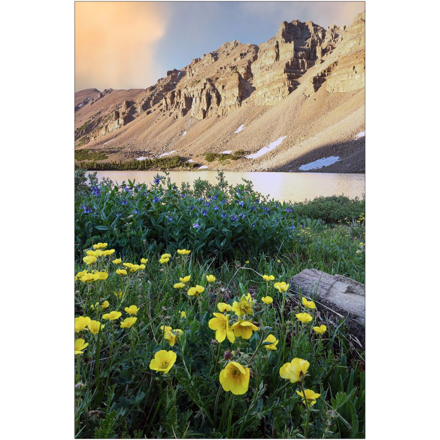 Amethyst Lake Sunset and Wildflowers, Uinta Mountains - Utah - bp0012 - Photograph Print Poster Picture Photography Art Artist Landscape