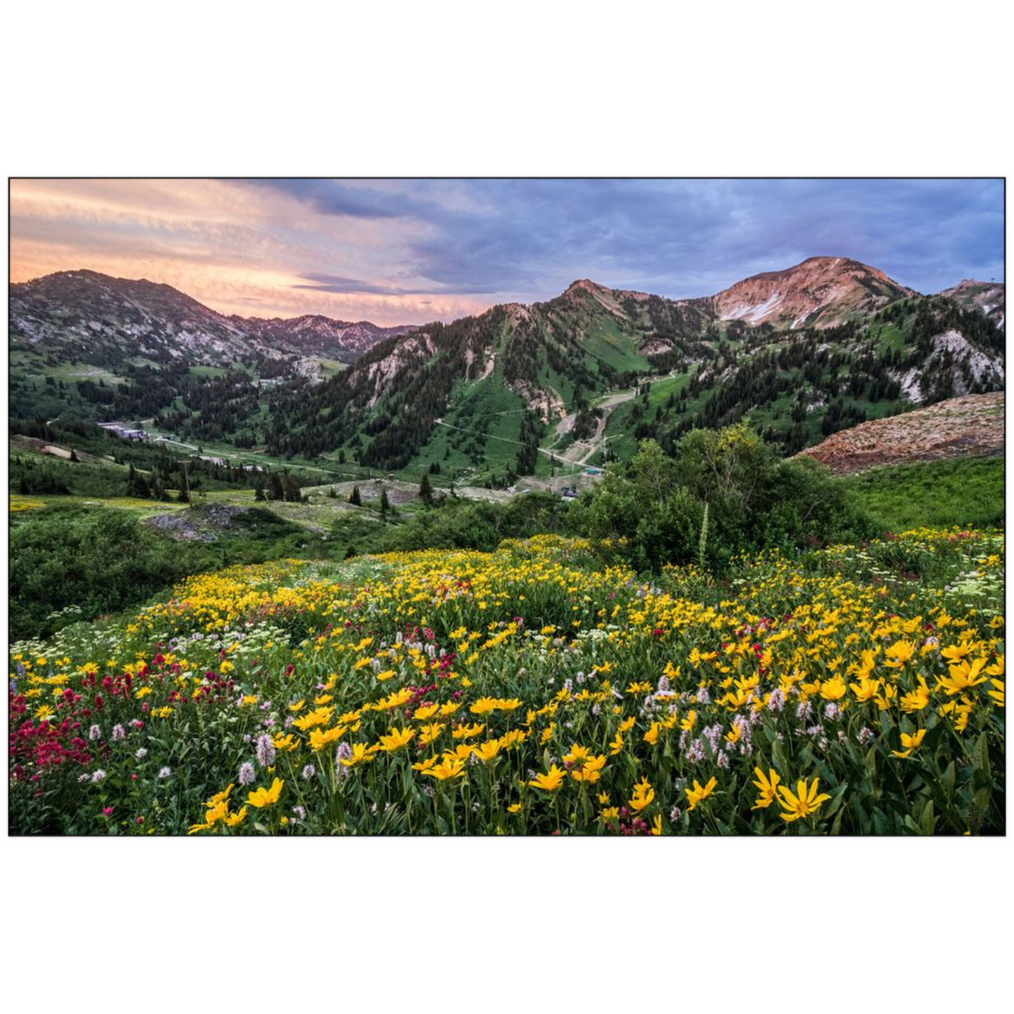 Storms Sunsets and Wildflowers - Alta, Utah - bp0005 - Photograph Print Poster Picture Landscape Photography Art Artist