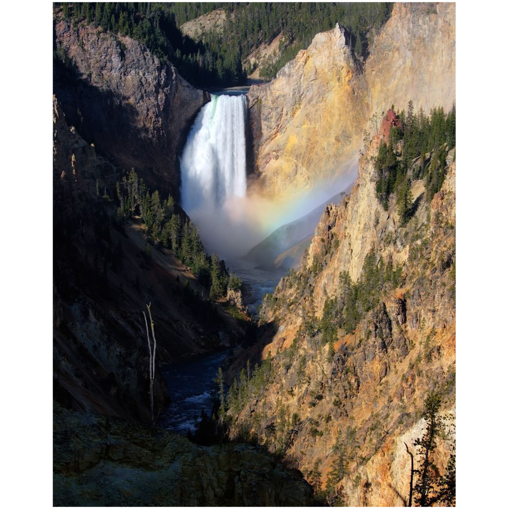 Lower Yellowstone Falls - Yellowstone National Park, Wyoming - bp0044 - Photograph Print Poster Picture Photography Art Images Landscape