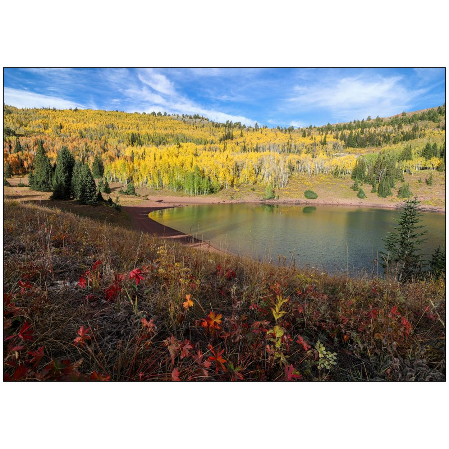 Desolation Lake Autumn - Wasatch Mountains, Utah - bp0221 - Photograph Print Poster Picture Photography Art Artist Images Landscape