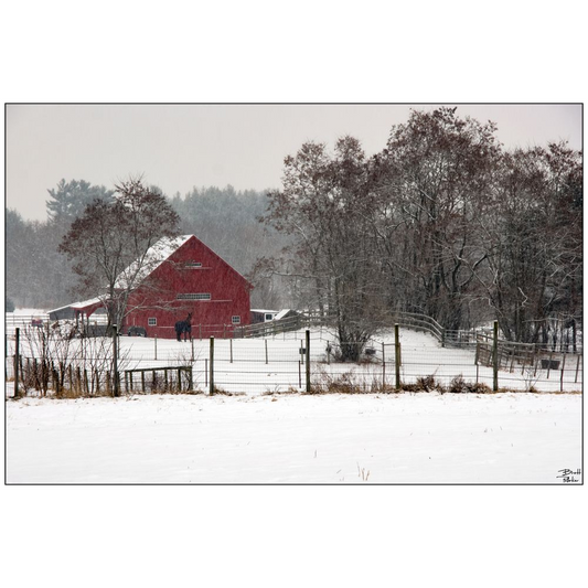 Little Red Barn - Lee, New Hampshire - bp0059 - Photograph Print Poster Picture Photography Art Artist Images Camera Collectibles Landscape