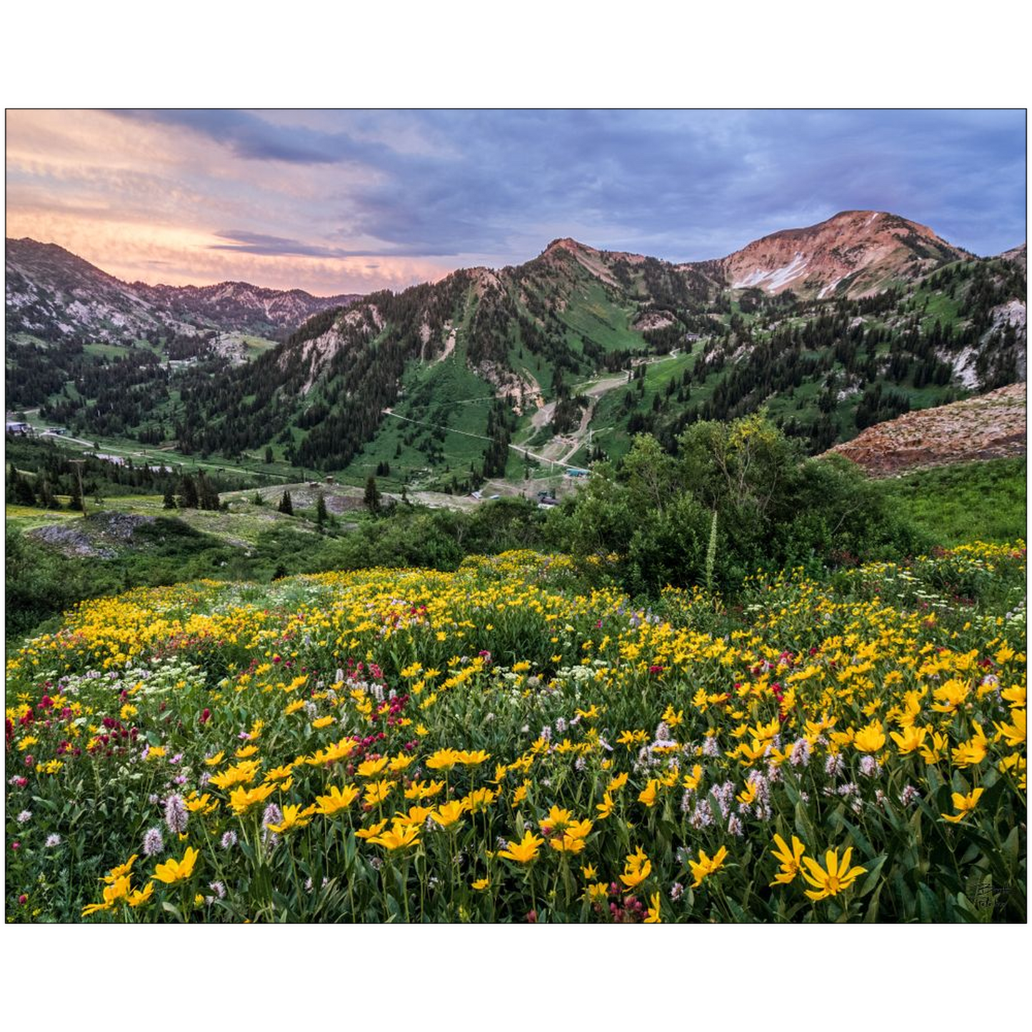 Storms Sunsets and Wildflowers - Alta, Utah - bp0005 - Photograph Print Poster Picture Landscape Photography Art Artist