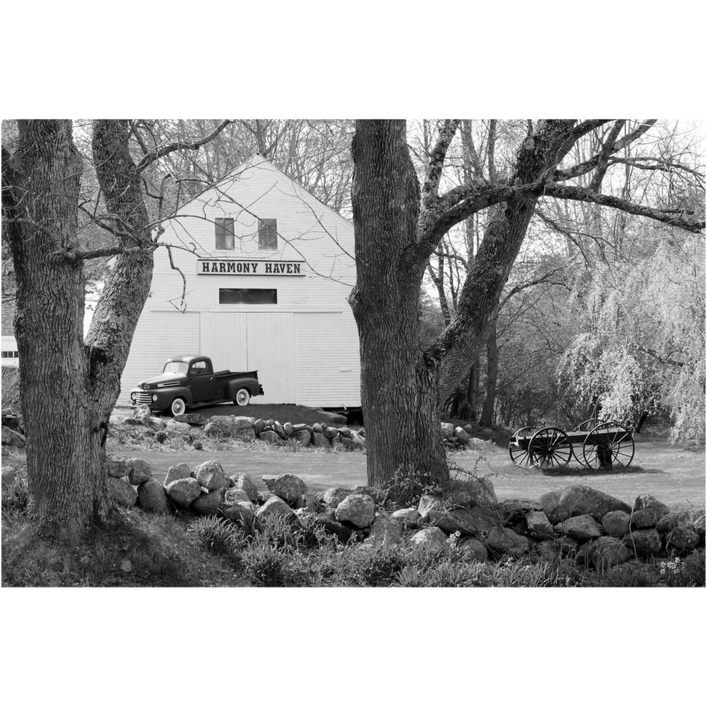 Harmony Haven with 1948 Ford F1 - Nottingham, New Hampshire - bp0043bw - Photograph Print Poster Picture Photography Art Artist Landscape