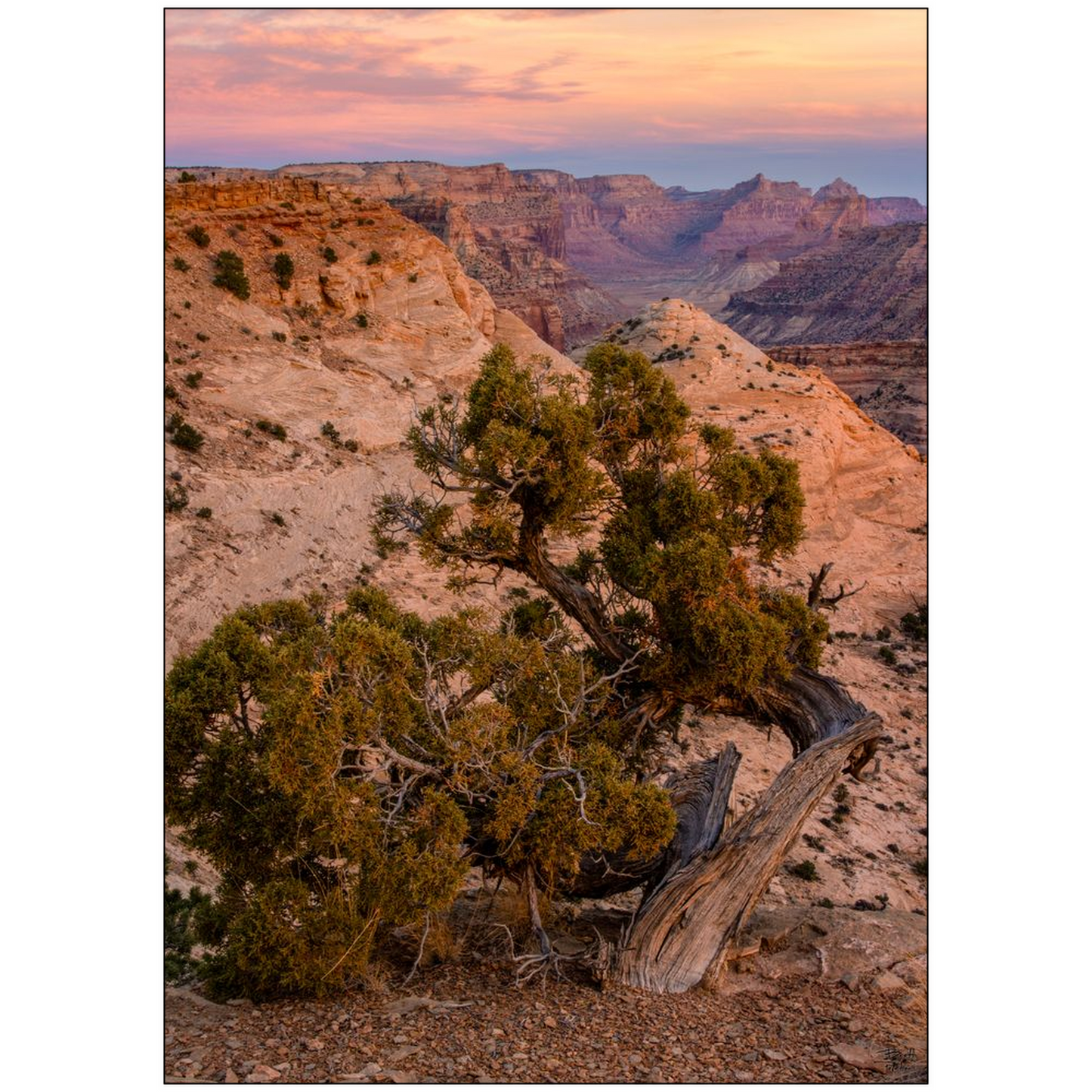 Little Grand Canyon Overlook Sunset - San Rafael, Utah - bp0204 - Photograph Print Poster Picture Photography Images Landscape Art Artist