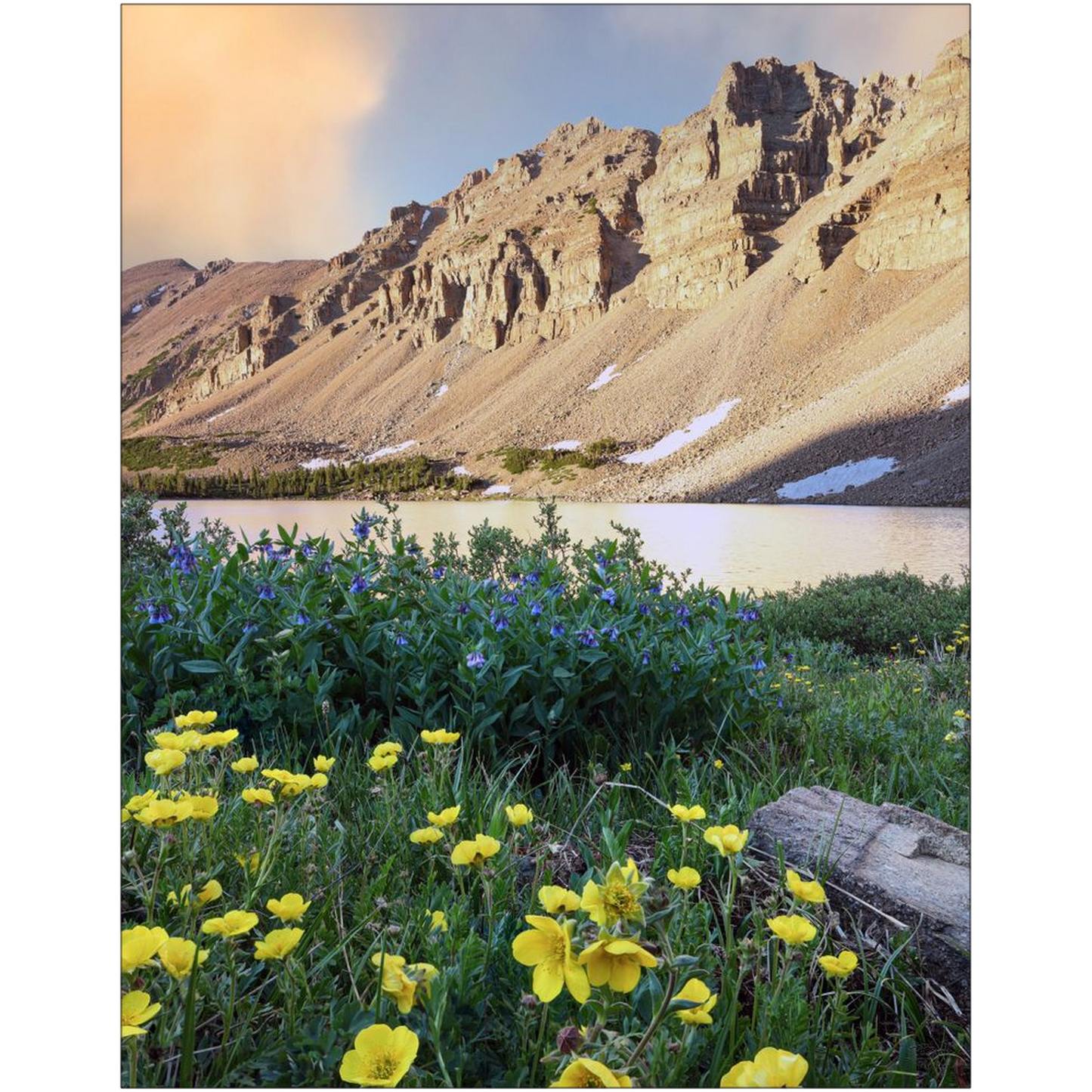 Amethyst Lake Sunset and Wildflowers, Uinta Mountains - Utah - bp0012 - Photograph Print Poster Picture Photography Art Artist Landscape