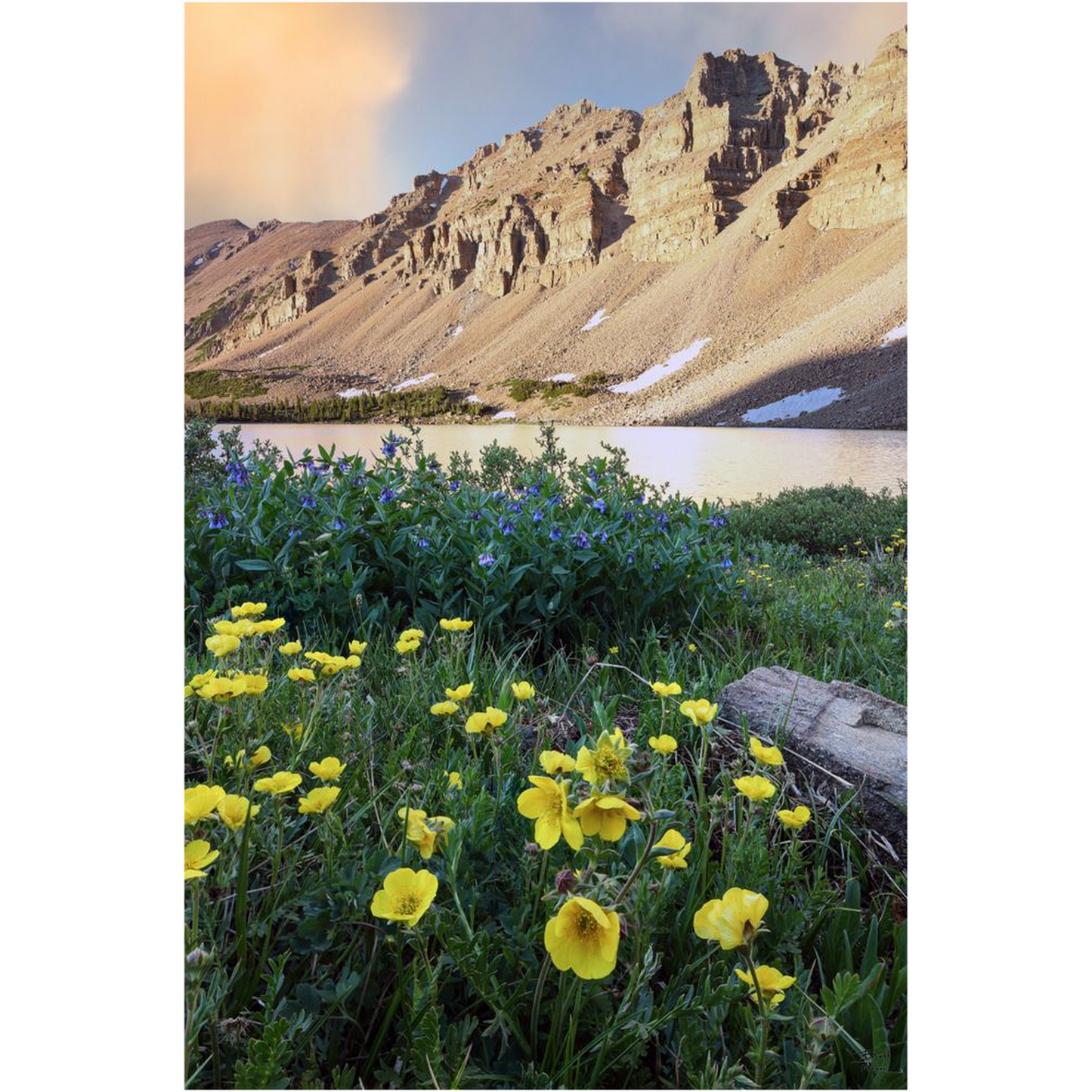 Amethyst Lake Sunset and Wildflowers, Uinta Mountains - Utah - bp0012 - Photograph Print Poster Picture Photography Art Artist Landscape