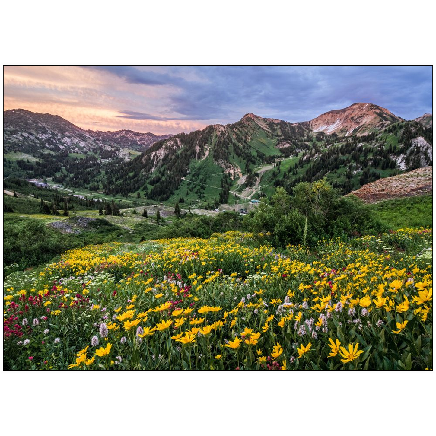 Storms Sunsets and Wildflowers - Alta, Utah - bp0005 - Photograph Print Poster Picture Landscape Photography Art Artist