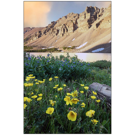 Amethyst Lake Sunset and Wildflowers, Uinta Mountains - Utah - bp0012 - Photograph Print Poster Picture Photography Art Artist Landscape