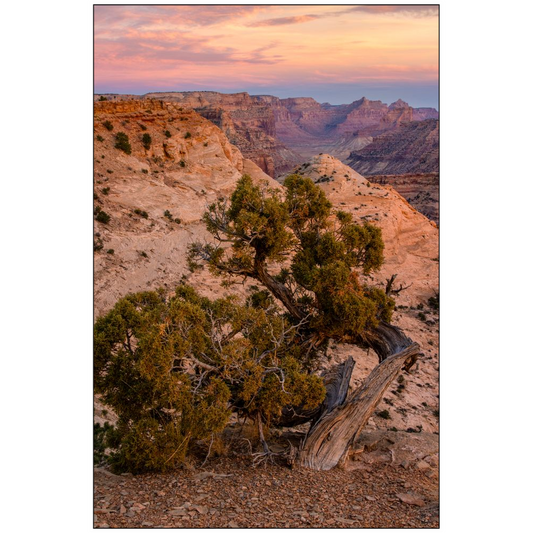 Little Grand Canyon Overlook Sunset - San Rafael, Utah - bp0204 - Photograph Print Poster Picture Photography Images Landscape Art Artist