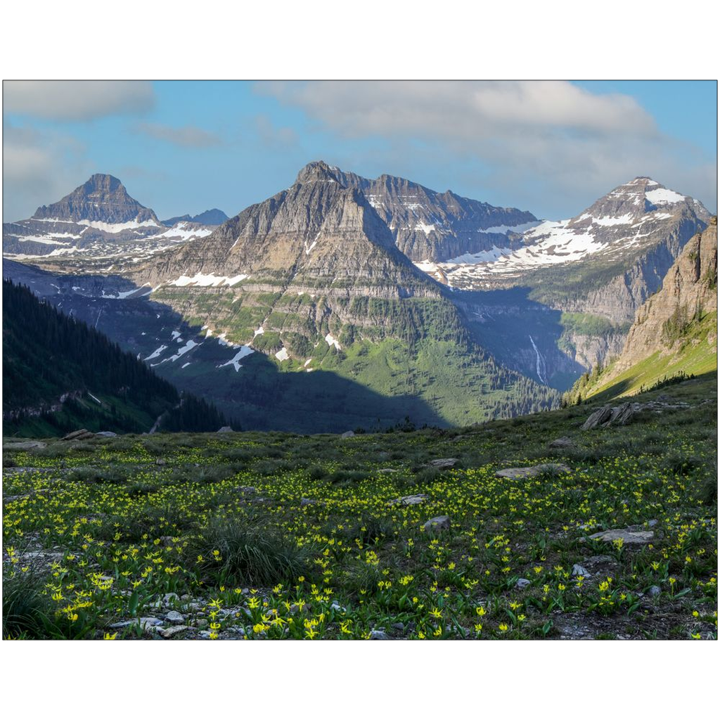 Glacier National Park Highline Trail View - Montana - bp0211 - Photograph Print Poster Picture Wall Photography Art Artist Images Landscape